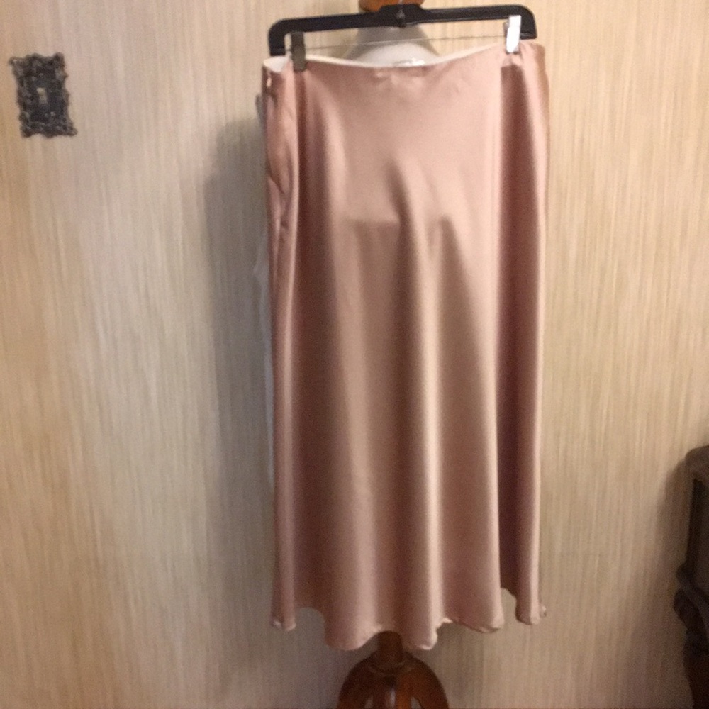 Ladies dressy skirt.